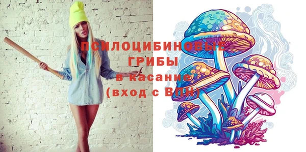 стаф Верхний Тагил