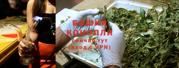 стаф Верхний Тагил