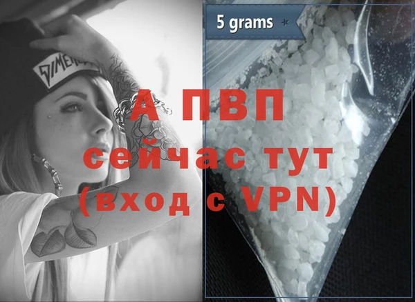 стаф Волосово